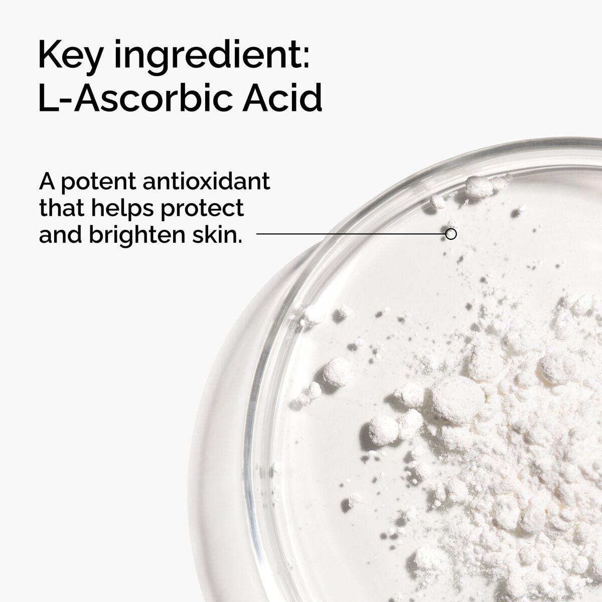 100-l-ascorbic-acid-powder-s1 FY25-D41247-ORD-Web-PDP-100-LAscb-Pwd-1x1-EN-2a.jpg