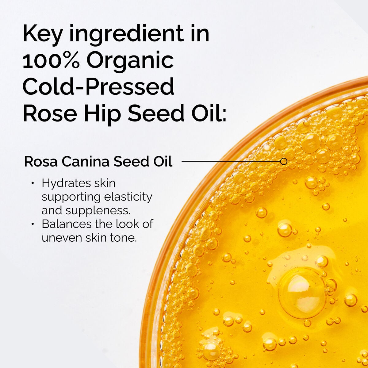 100-organic-cold-pressed-rose-hip-seed-oil-j9 FY25-D41247-ORD-Web-PDP-100-Rose-Hip-Oil-1x1-EN-2.jpg